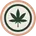 cbdolce